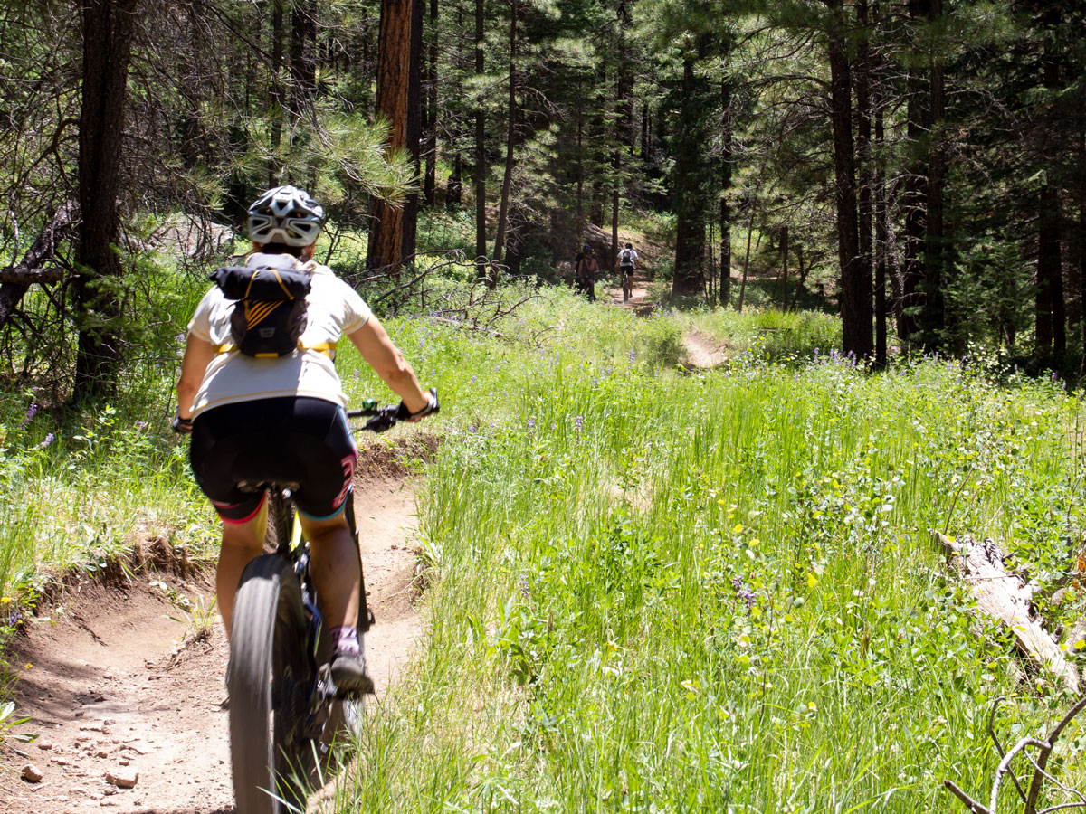 Flagstaff's easy Schultz Creek Hiking Trail is flush with shade ...